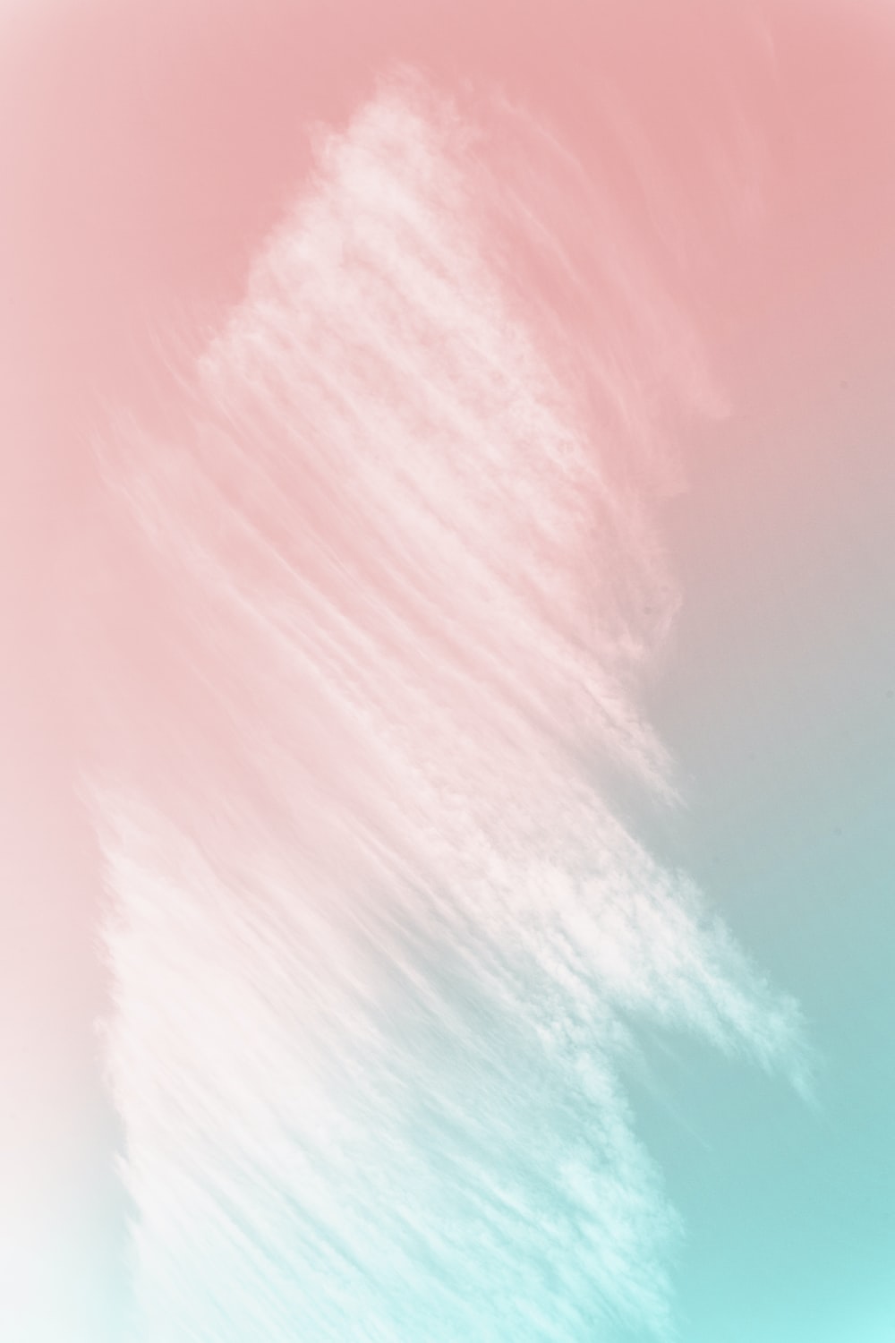 Detail Background Pink Portrait Nomer 18