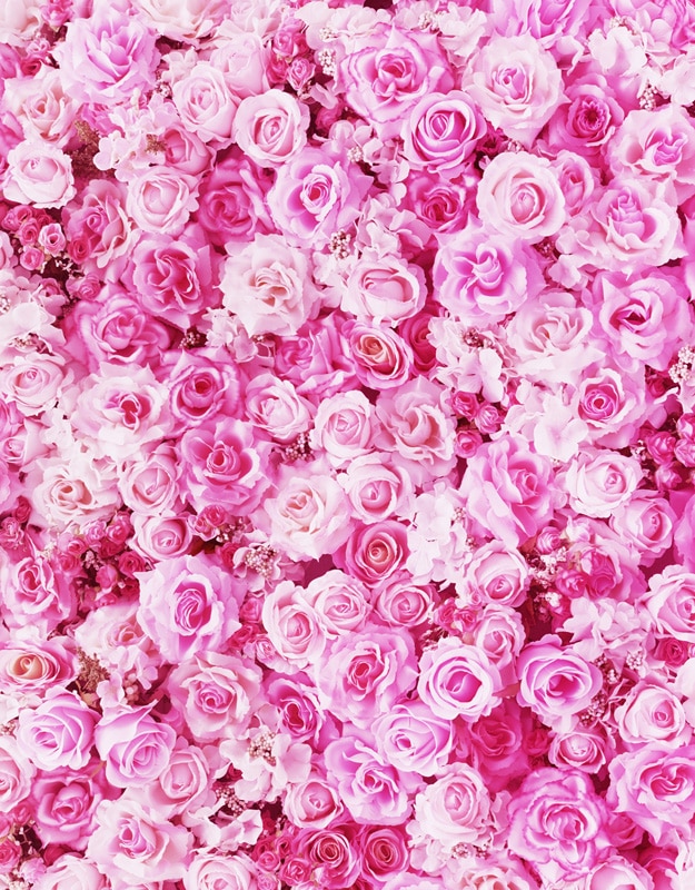 Detail Background Pink Portrait Nomer 49