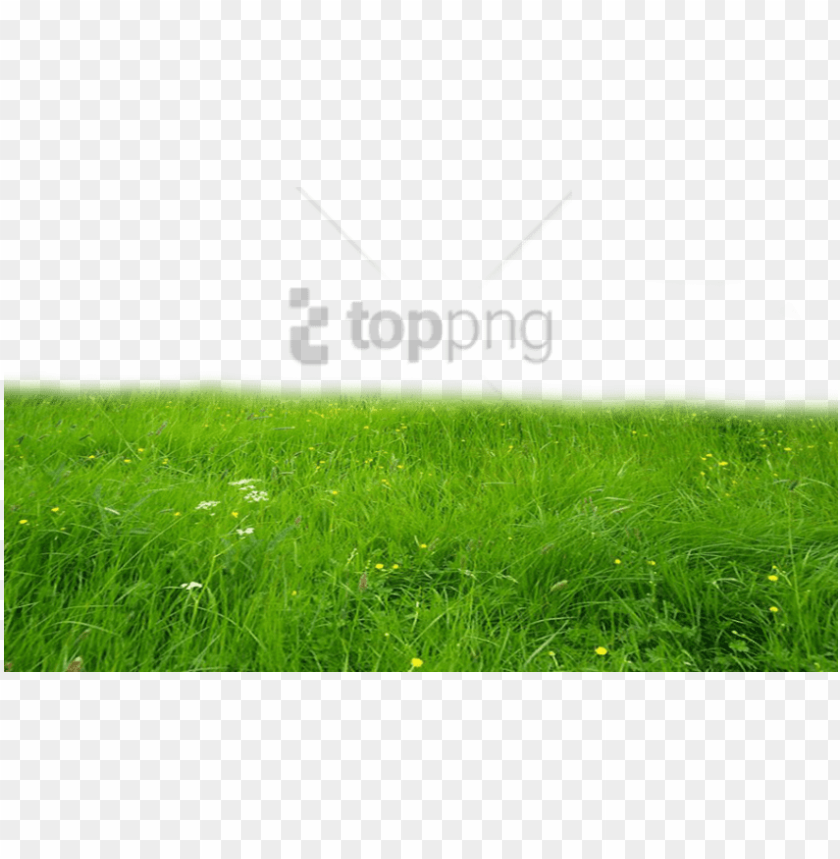 Detail Background Png Deviantart Nomer 14