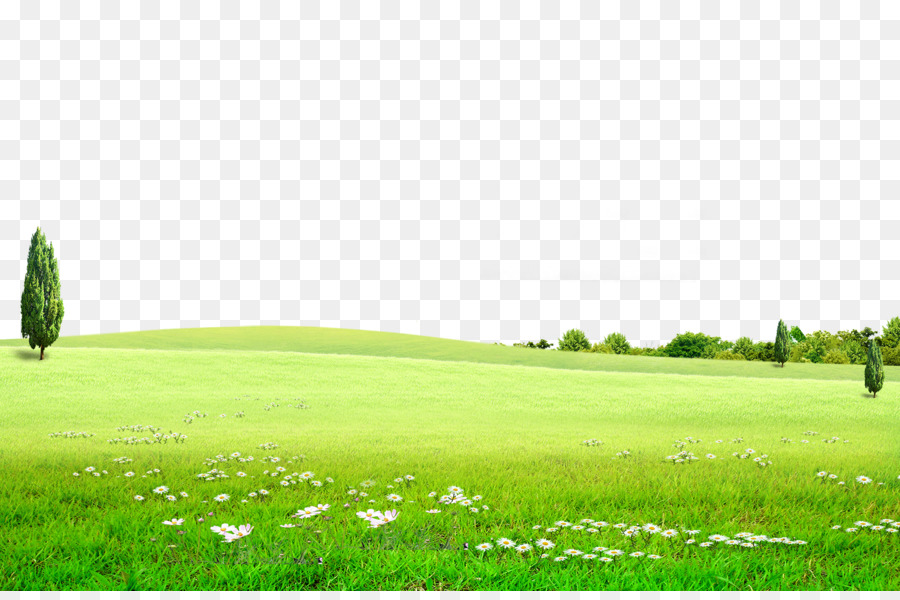 Detail Background Png Green Nomer 54