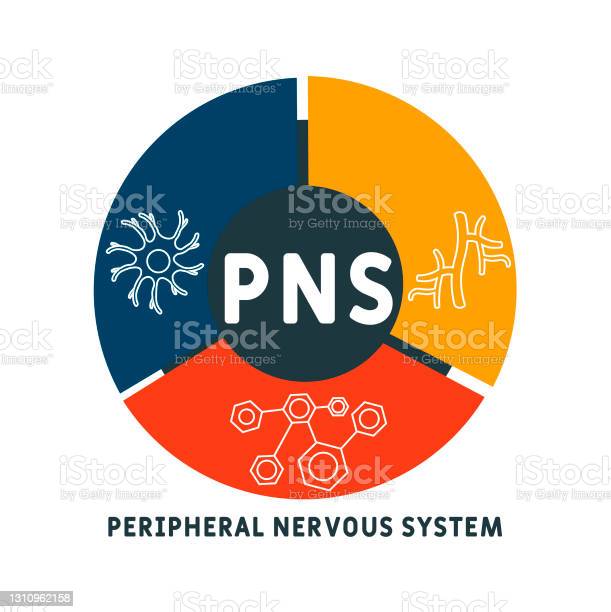 Detail Background Pns Nomer 25