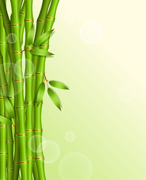 Detail Background Pohon Bambu Nomer 15