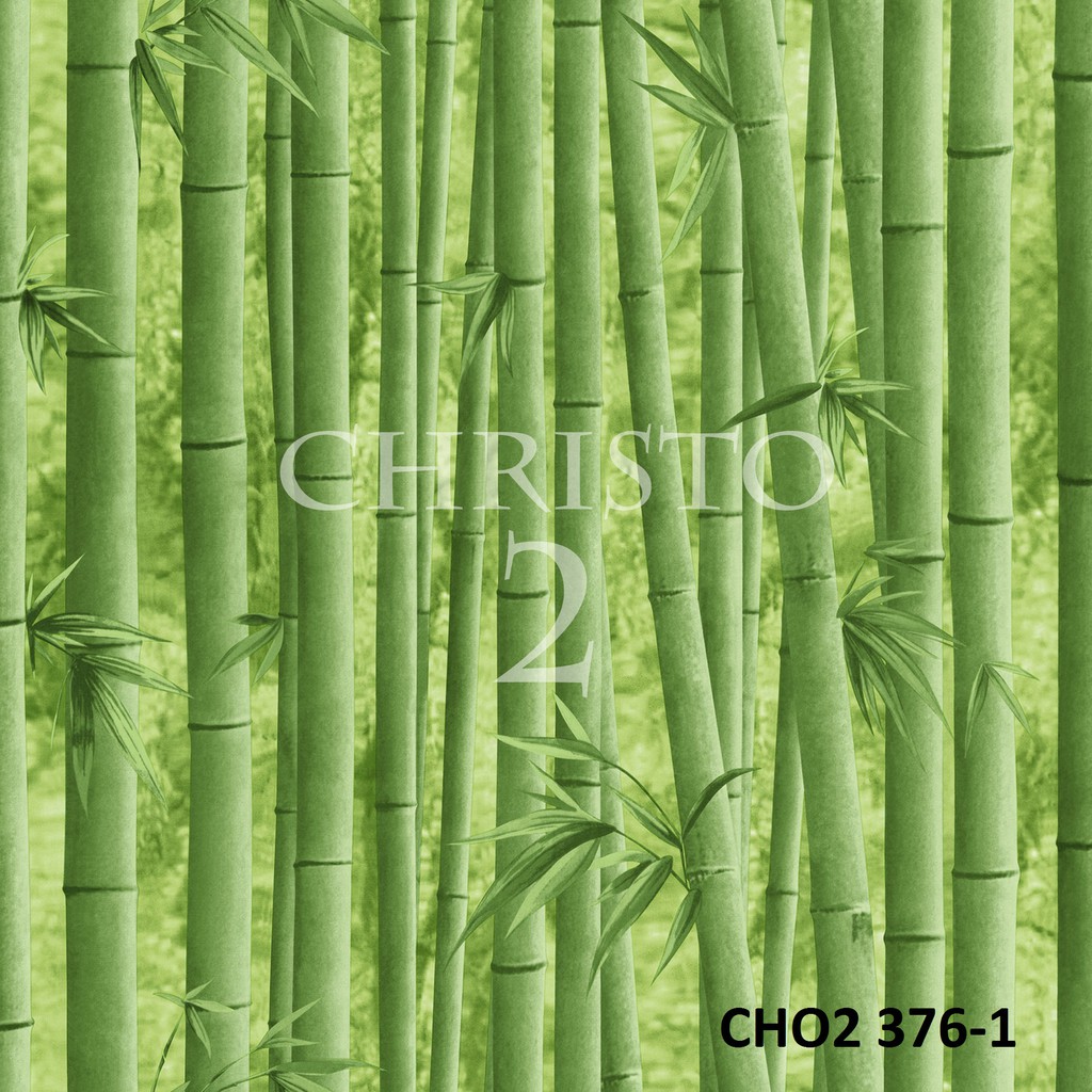 Detail Background Pohon Bambu Nomer 17