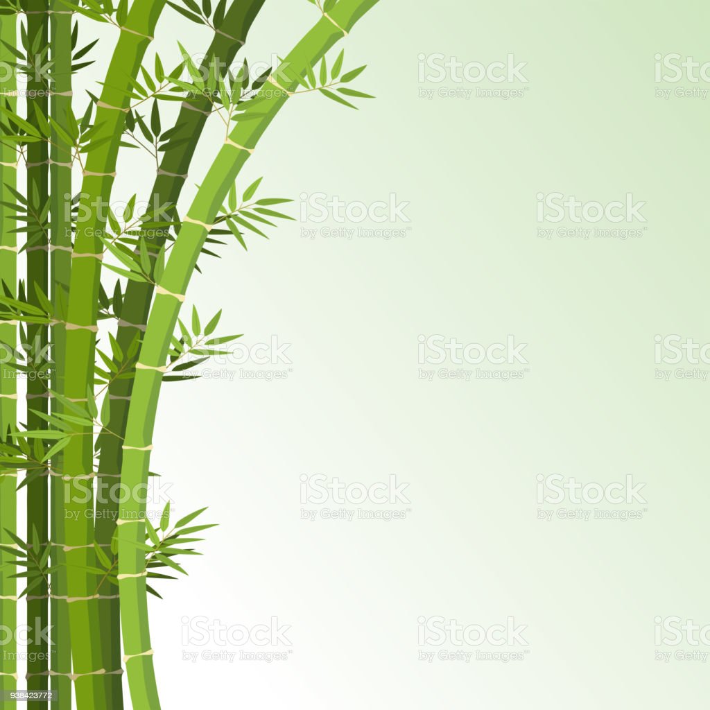 Detail Background Pohon Bambu Nomer 3