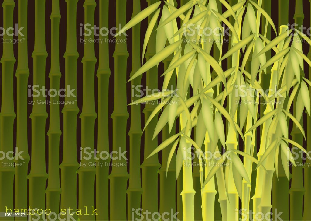 Detail Background Pohon Bambu Nomer 20