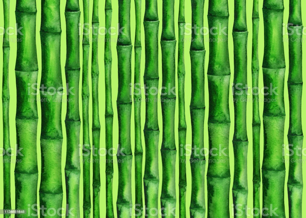Detail Background Pohon Bambu Nomer 5