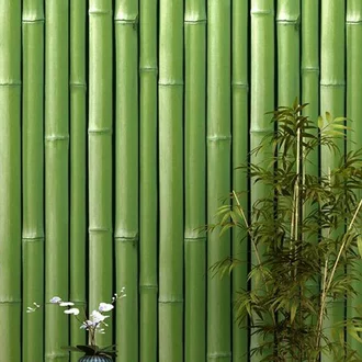 Detail Background Pohon Bambu Nomer 39