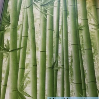 Detail Background Pohon Bambu Nomer 42