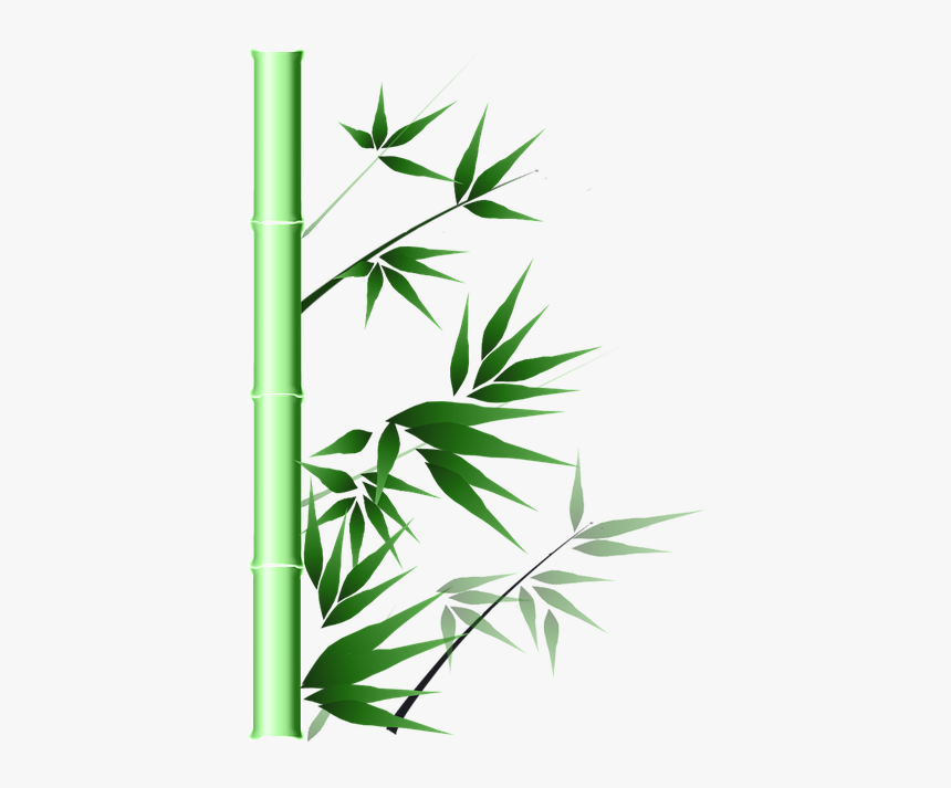 Detail Background Pohon Bambu Nomer 10