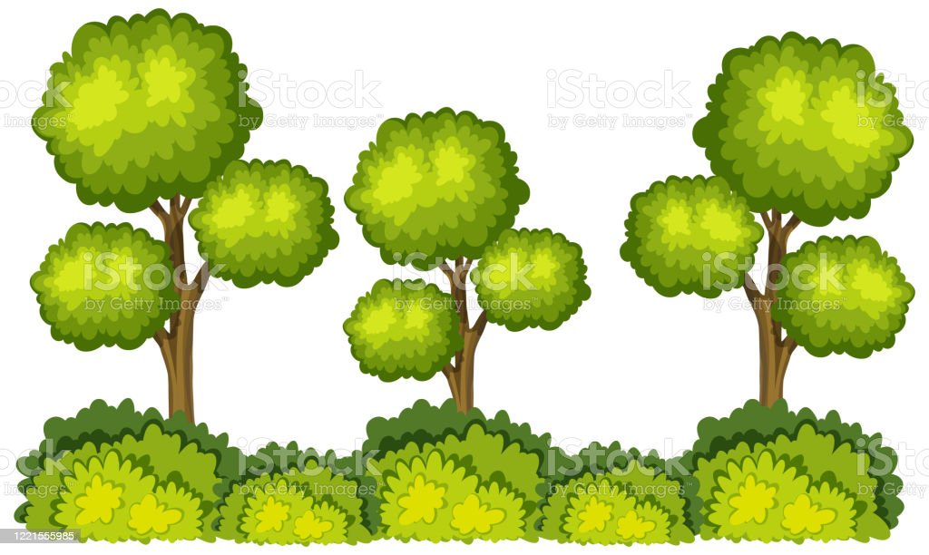 Detail Background Pohon Hijau Nomer 54