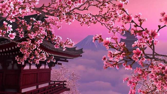 Background Pohon Sakura - KibrisPDR