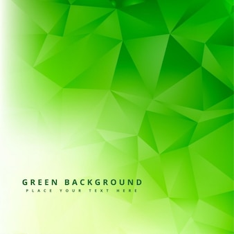 Background Polygon Hijau - KibrisPDR
