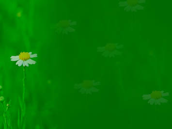 Detail Background Power Point Alam Nomer 25