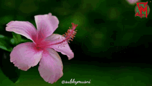 Detail Background Power Point Animasi Gif Bergerak Nomer 44
