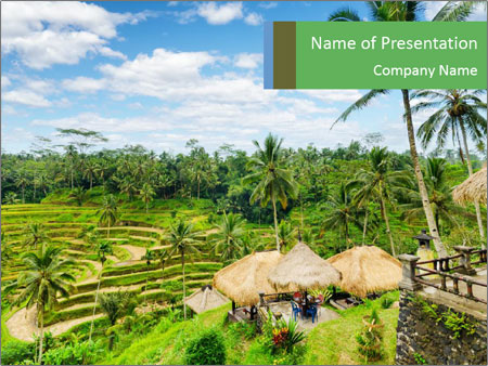 Detail Background Power Point Bali Nomer 12