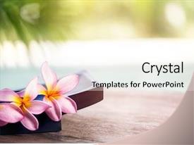 Detail Background Power Point Bali Nomer 26