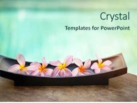 Detail Background Power Point Bali Nomer 27