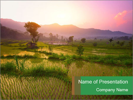 Detail Background Power Point Bali Nomer 4