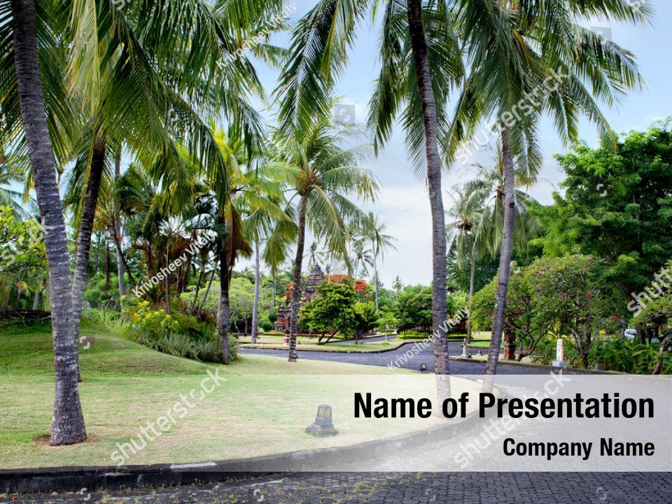Detail Background Power Point Bali Nomer 36