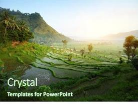 Detail Background Power Point Bali Nomer 5