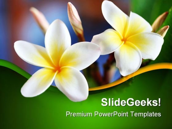 Detail Background Power Point Bali Nomer 10