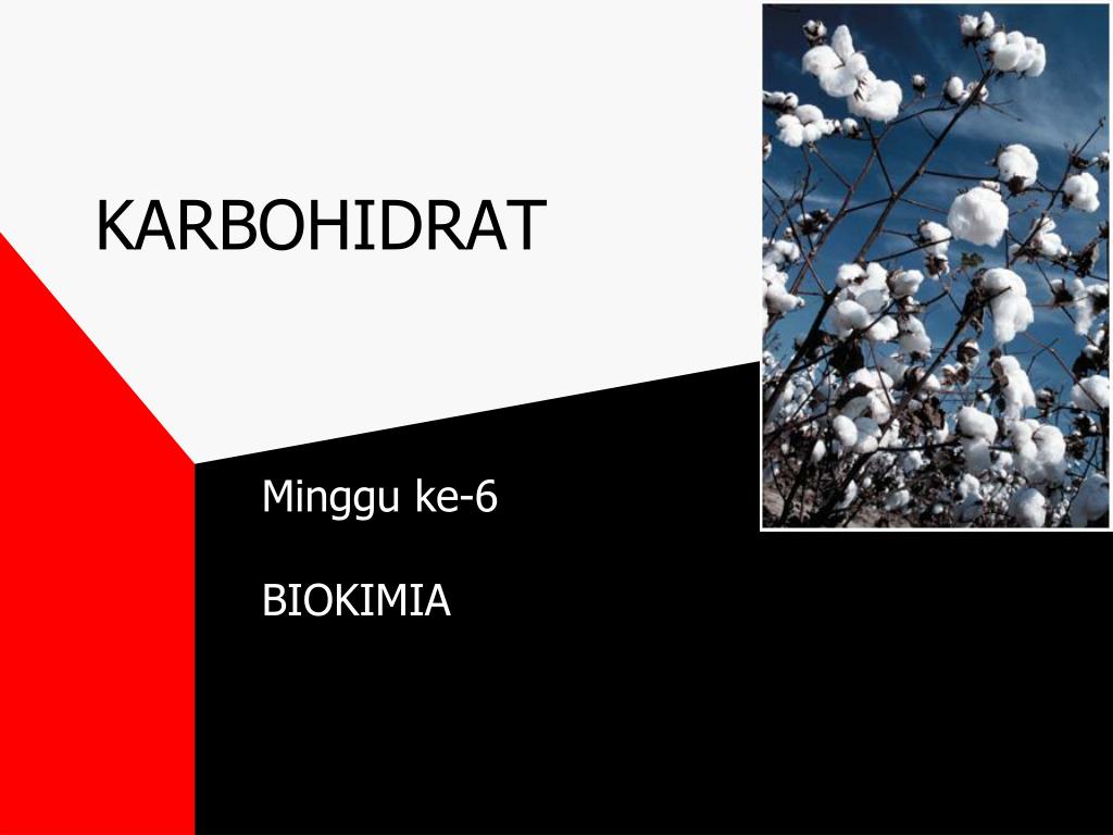 Detail Background Power Point Biokimia Nomer 31