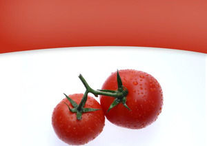 Detail Background Power Point Buah Nomer 43