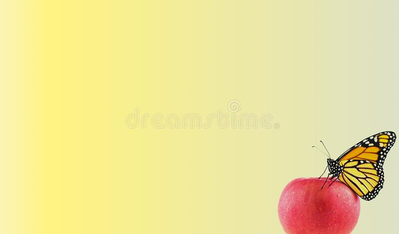 Detail Background Power Point Buah Nomer 47