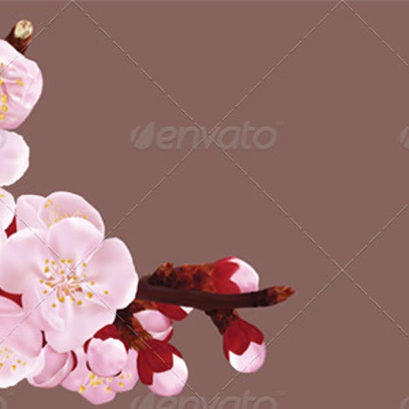 Detail Background Power Point Bunga Sakura Nomer 11