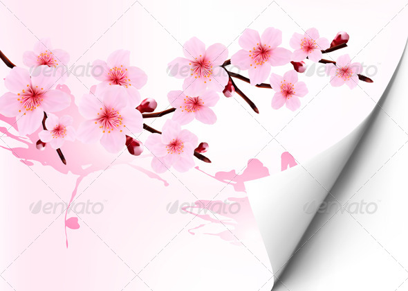 Detail Background Power Point Bunga Sakura Nomer 21
