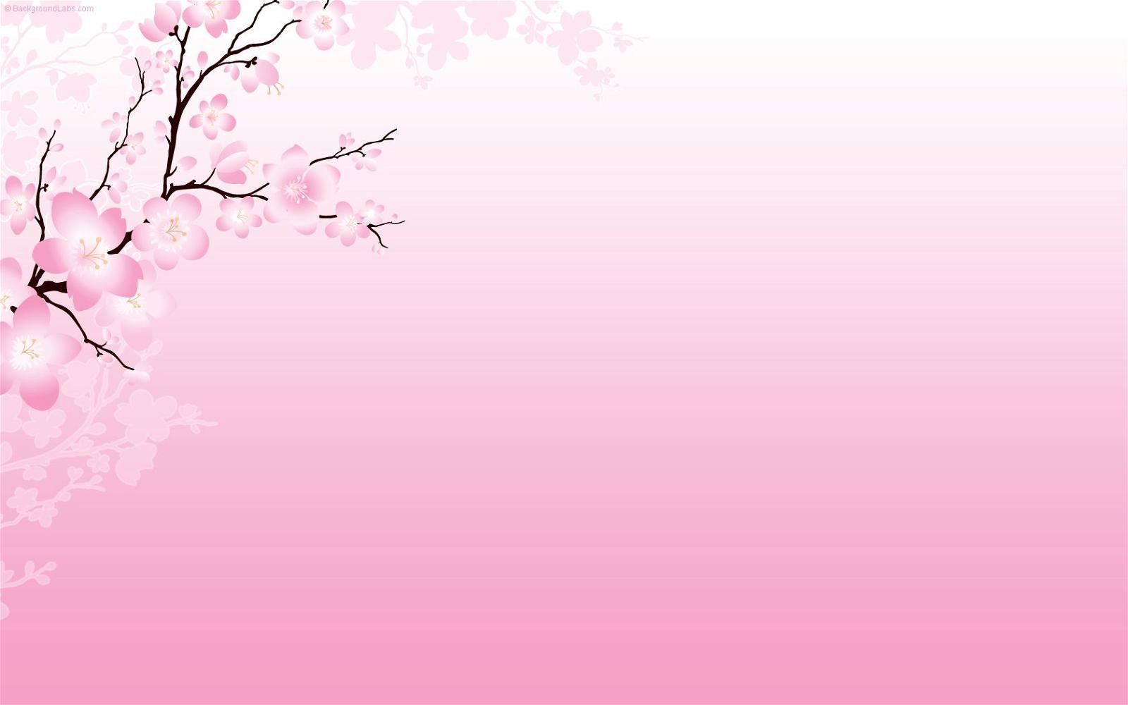 Detail Background Power Point Bunga Sakura Nomer 4