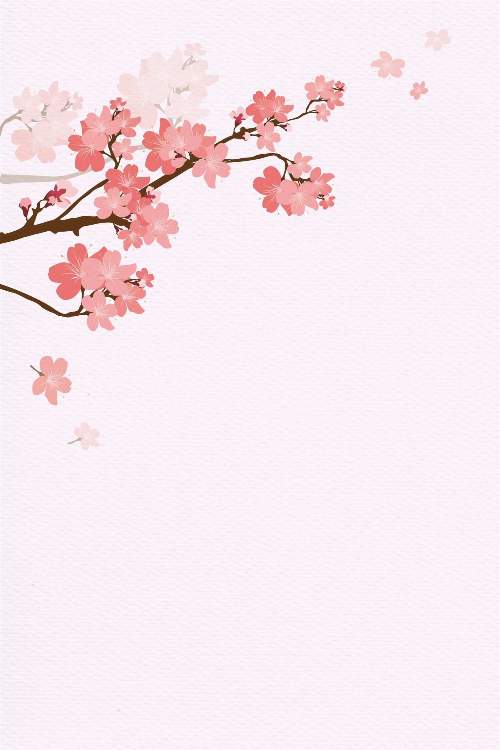 Detail Background Power Point Bunga Sakura Nomer 54