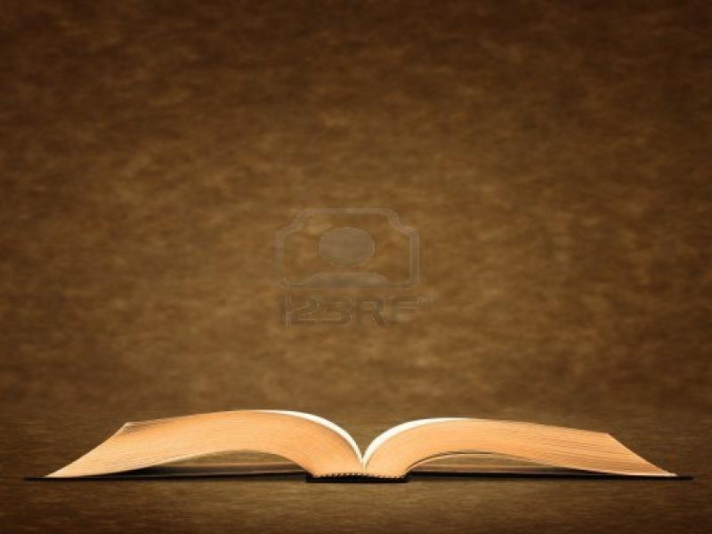 Detail Background Power Point Coklat Nomer 14