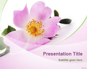 Detail Background Power Point Flower Nomer 31