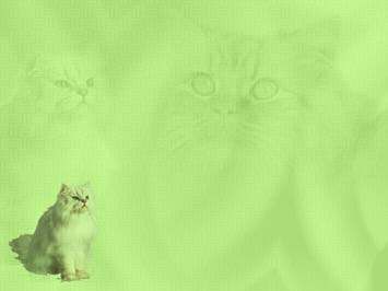 Detail Background Power Point Kucing Nomer 13