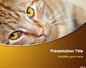 Detail Background Power Point Kucing Nomer 10