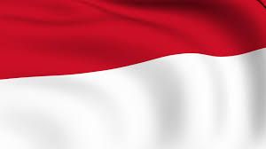 Detail Background Power Point Merah Putih Nomer 26