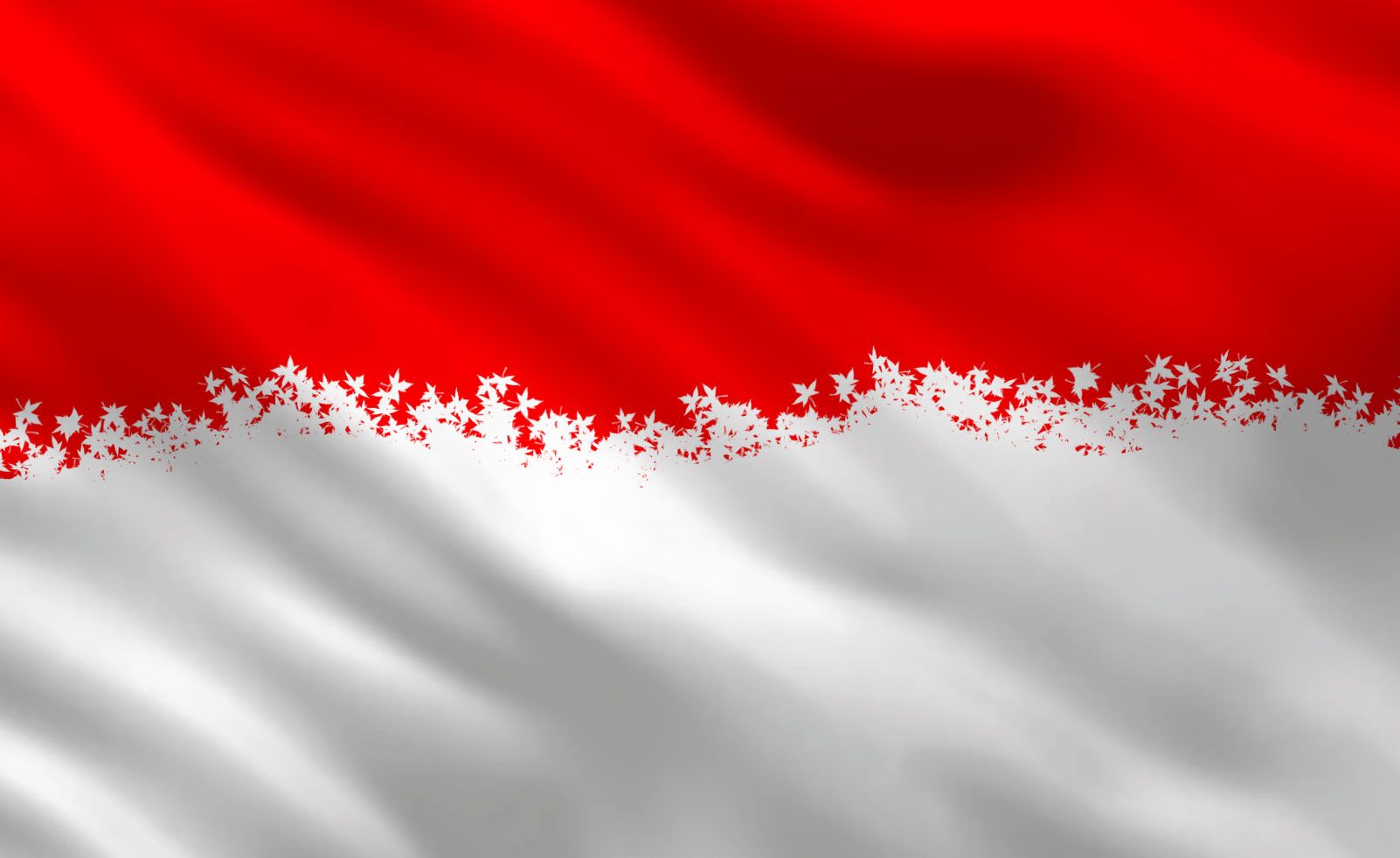 Detail Background Power Point Merah Putih Nomer 35