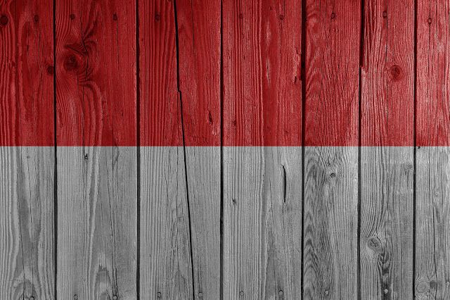 Detail Background Power Point Merah Putih Nomer 41
