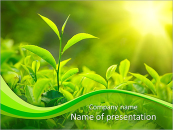 Detail Background Power Point Pertanian Nomer 10