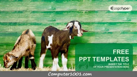 Detail Background Power Point Pertanian Nomer 27