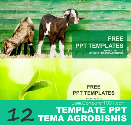 Detail Background Power Point Pertanian Nomer 29