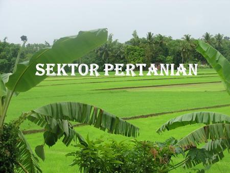 Detail Background Power Point Pertanian Nomer 31