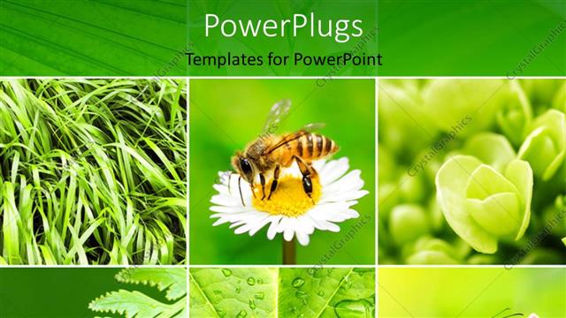 Detail Background Power Point Pertanian Nomer 46