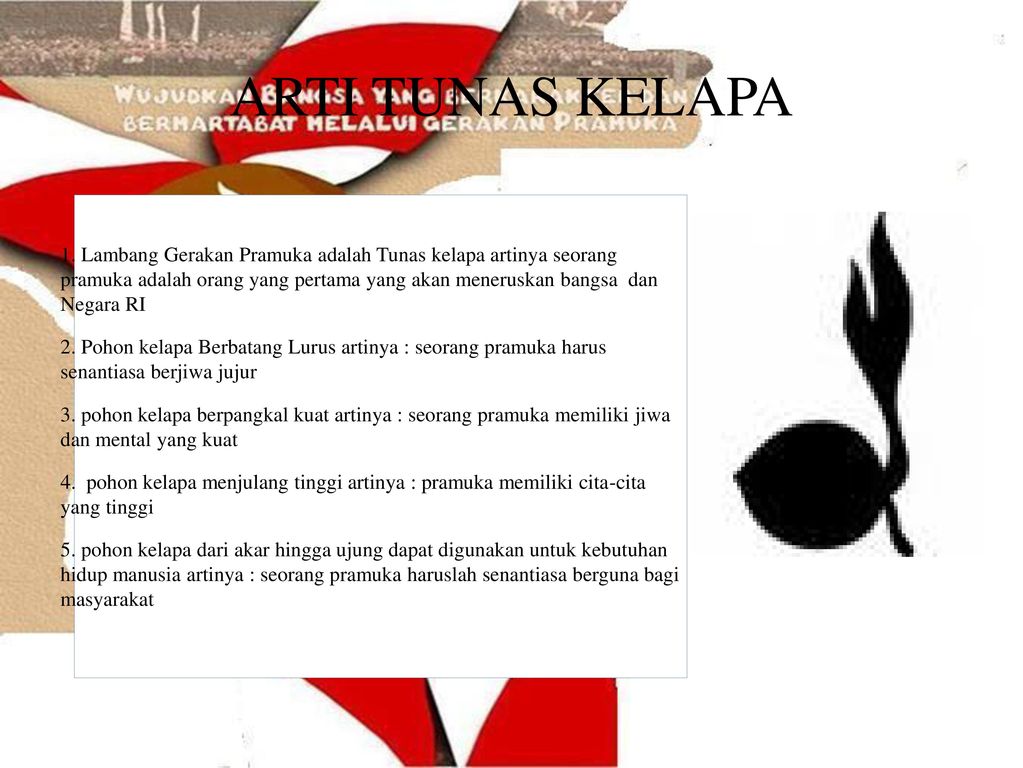 Detail Background Power Point Pramuka Nomer 54