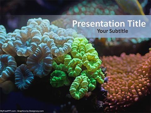 Detail Background Power Point Tema Biologi Nomer 54