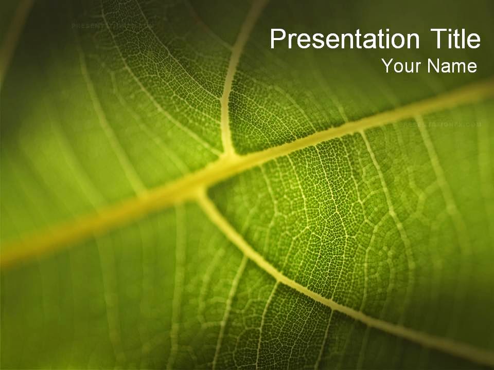 Detail Background Power Point Tema Biologi Nomer 8