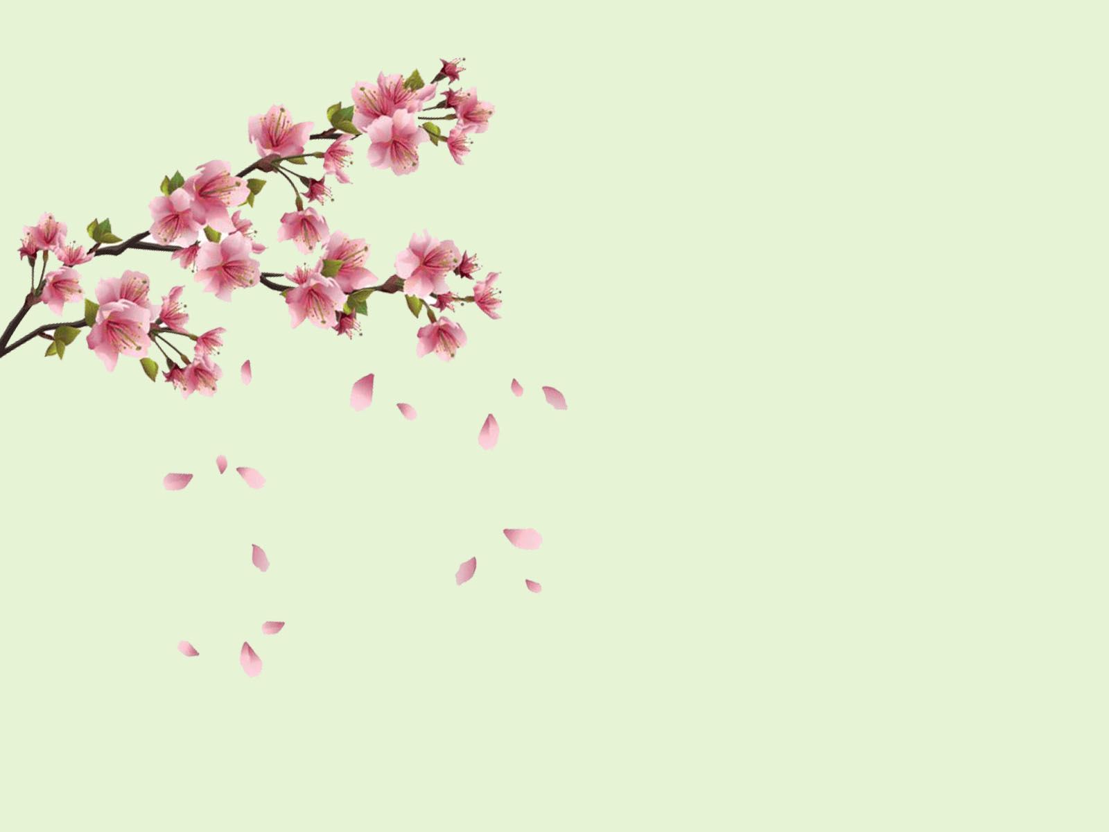 Detail Background Powerpoint 2017 Nomer 8