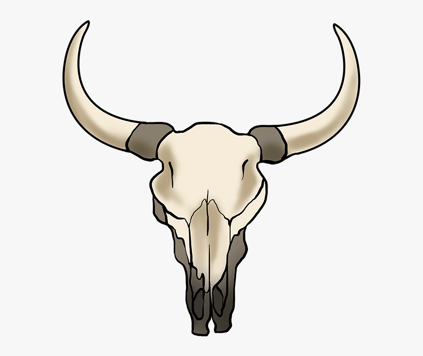 Bull Skull Drawing Easy - KibrisPDR