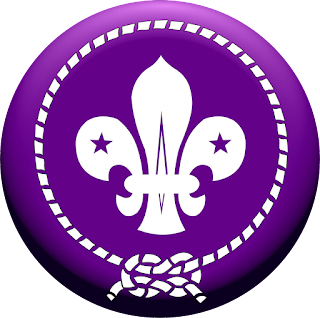 Detail Download Logo Wosm Pramukapng Nomer 4